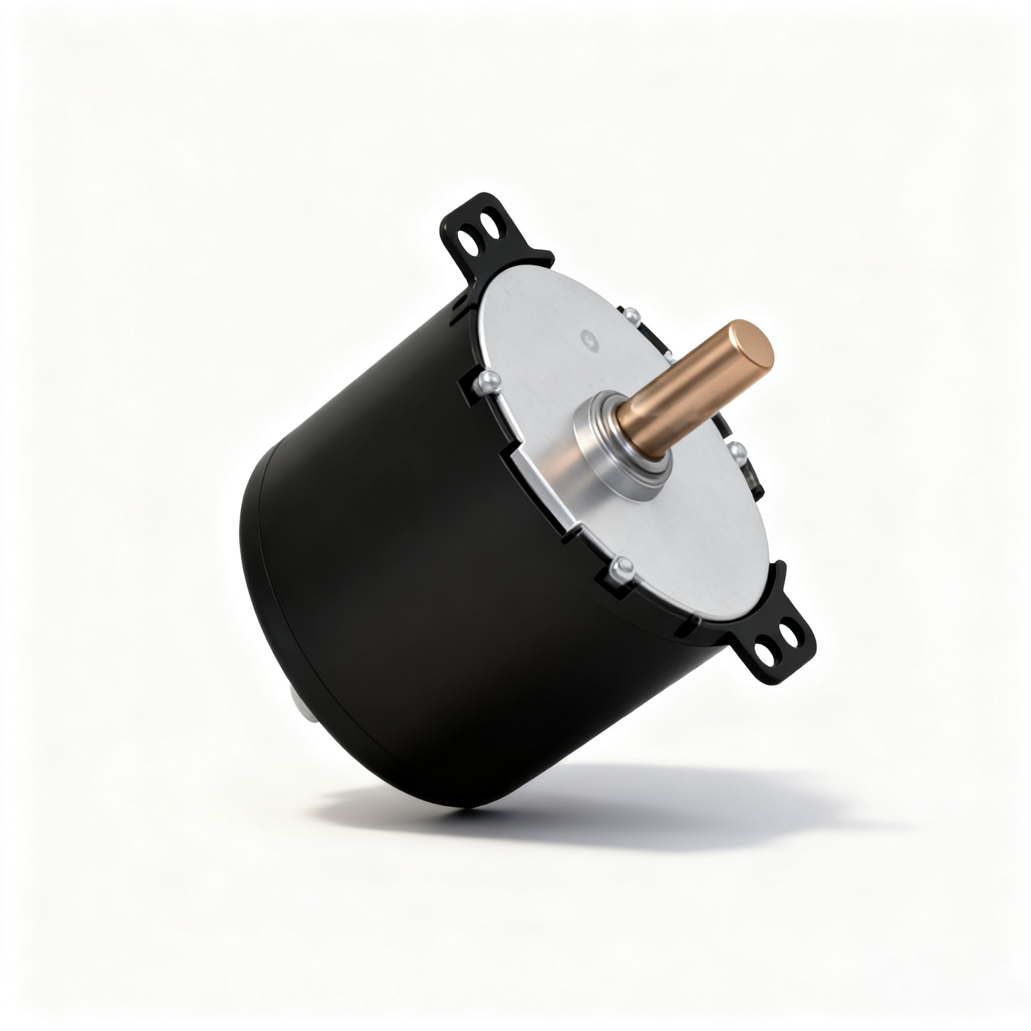 Ф50 交流同步电机